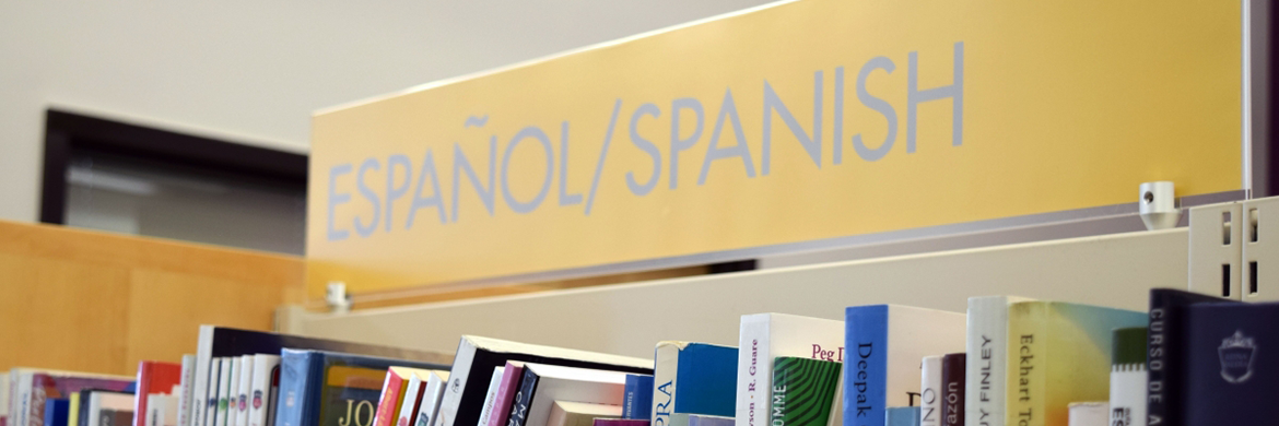 Spanish section in the library with different books