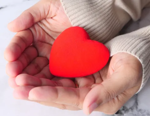 Two hands holding a red heart in their open palms