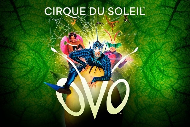 Cirque Du Soleil 